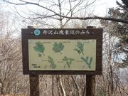 ������h���`���b�N����̒O��R�򓌕ӂ݂̂��̓��e�ʐ^2