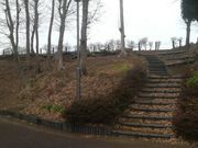 Ƃ񂳂̗Βnς̓eʐ^3