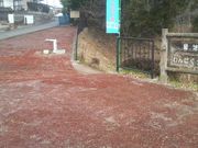 Ƃ񂳂̗Βnς̓eʐ^5