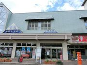 ɂǂ񂳂̏_܂Ή@R[كXgEX̓eʐ^1