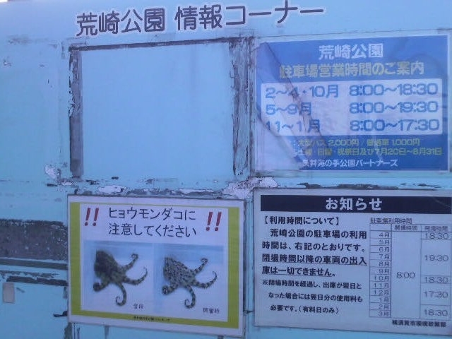 �r������ɂ�_�r�����