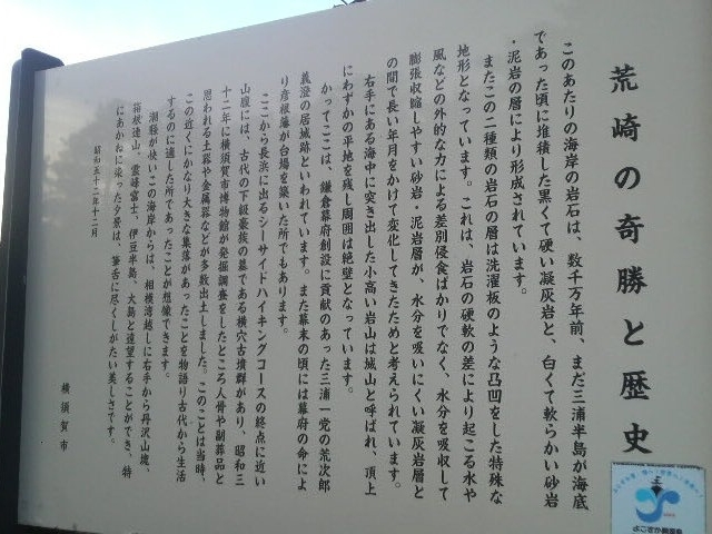 �r������̈ē���_�r�����