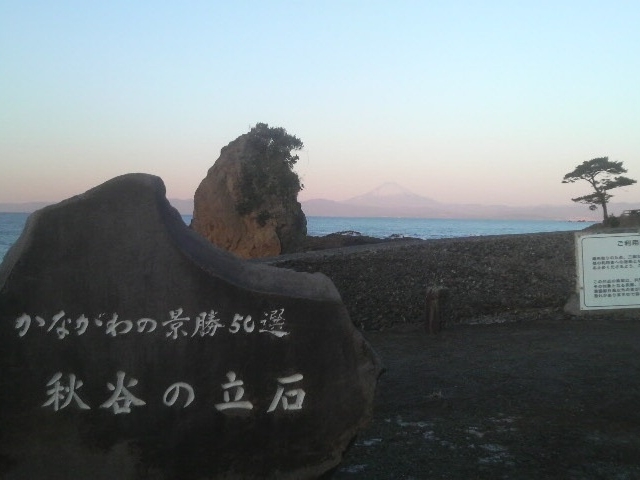 ���Ό����̌i��_���Ό���