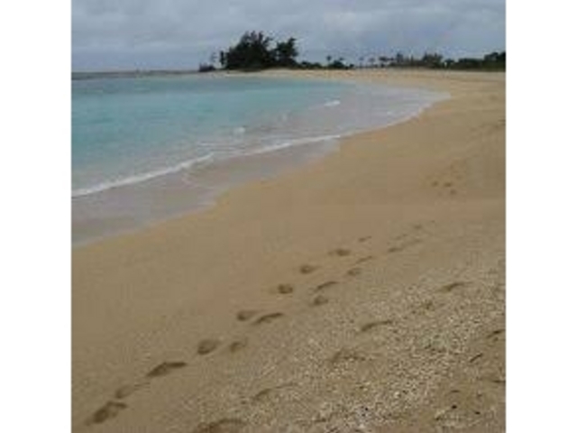 �܂�ł������L���C_21���I�̐X�r�[�`