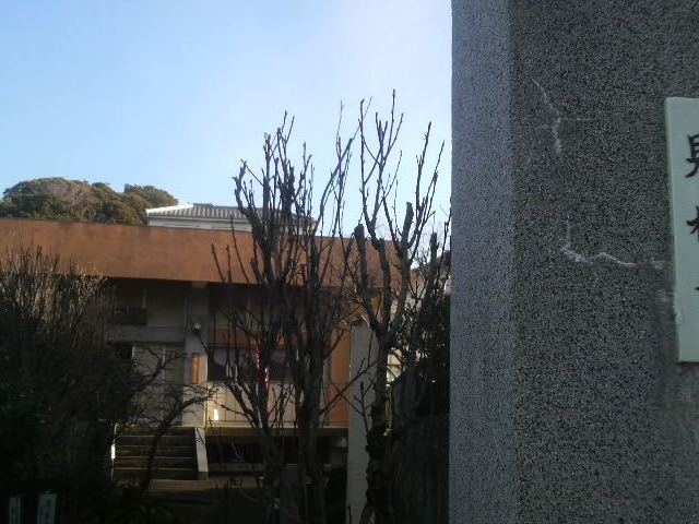 ���Ƃ��񂳂�̌������̓��e�ʐ^1