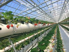 ݂͂邳̈hN_ւ̓eʐ^1