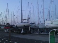 Ƃ񂳂̗tR}[iւ̓eʐ^2