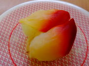 ǁ[̂ώi VÓX̓eʐ^1