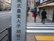 ��������񂳂�̖ڔ��ʂ���j�̃v�����i�[�h�̓��e�ʐ^1