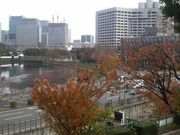 Ƃ񂳂̉P֌̃ni~YL̓eʐ^2