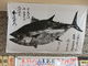 AbL̈ꕽ齂ւ̓eʐ^2