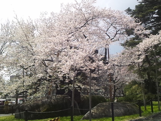 �Ί���_�Ί���