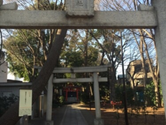 ӂ̌Ƃ͑ΏƓIȐÂȋłB_F_