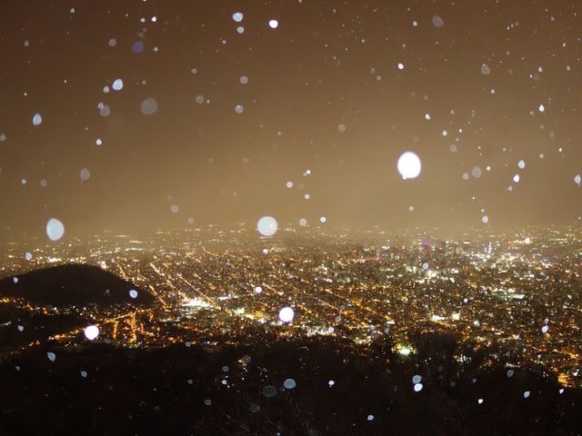 ���ォ��̖�i_������R���[�v�E�F�C