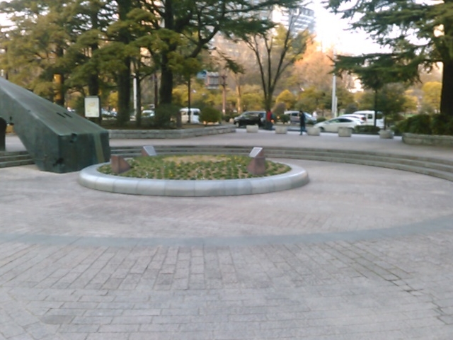 �@���̎ʐ^���ƎD�y�̑�ʌ����Ǝ��Ă܂��B_���������