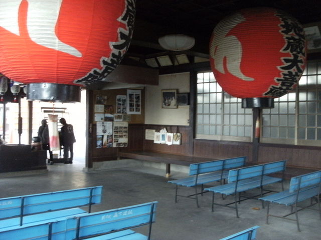 ibokorori̎񖳒n̓eʐ^1