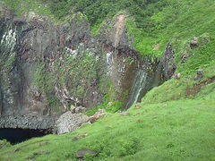 ɂǂ񂳂̒mΗ Vɑւ̓eʐ^4