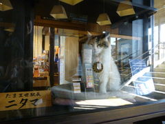 l̋Muwi܃~[WA jւ̓eʐ^1