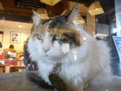 l̋Muwi܃~[WA jւ̓eʐ^2