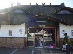 l̋Muwi܃~[WA jւ̓eʐ^3