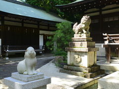 �݂݂���̓��V������_�Ђւ̓��e�ʐ^1