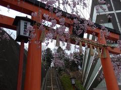 ZUNDAM̈_Ђւ̓eʐ^1