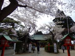 ZUNDAM̈_Ђւ̓eʐ^2