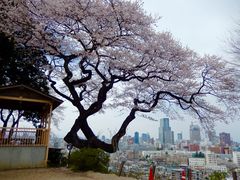 ZUNDAM̈_Ђւ̓eʐ^3