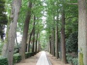 �݂݂���̑�c�������̓��e�ʐ^1