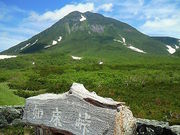 ɂǂ񂳂̌F̓̓eʐ^1