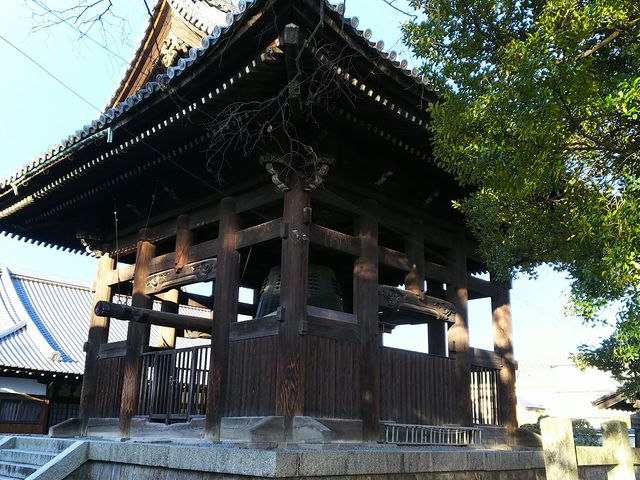 ���̐w�̂���������_���L��