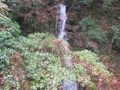 鶴亀松竹梅扇さんの四五六滝への投稿写真1