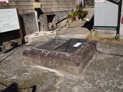 ˂񂳂̑EiM˂̓eʐ^2