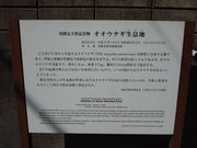 ˂񂳂̑EiM˂̓eʐ^3