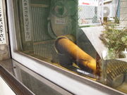 ˂񂳂̑EiM˂̓eʐ^4