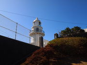 �˂�����񂳂�̌����R�W�]�����̓��e�ʐ^5