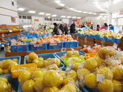 ˂񂳂̏VYقρ[̓eʐ^5