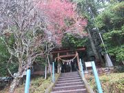 ߋT|~̌F_Ђ̓eʐ^1