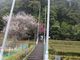 鶴亀松竹梅扇さんの熊野神社（愛知県豊根村）への投稿写真2