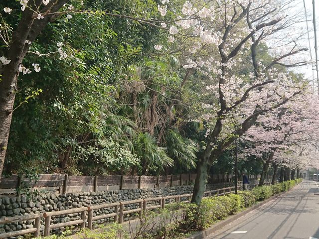 ܂[܂񂳂̘Zp̓eʐ^2