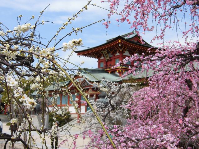 h{V{ 2018.3.7Be_h{V{