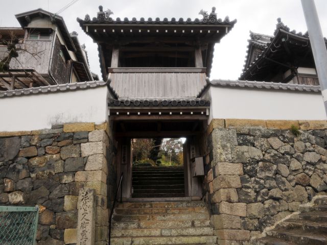 �����̂�������̏�^���̓��e�ʐ^1