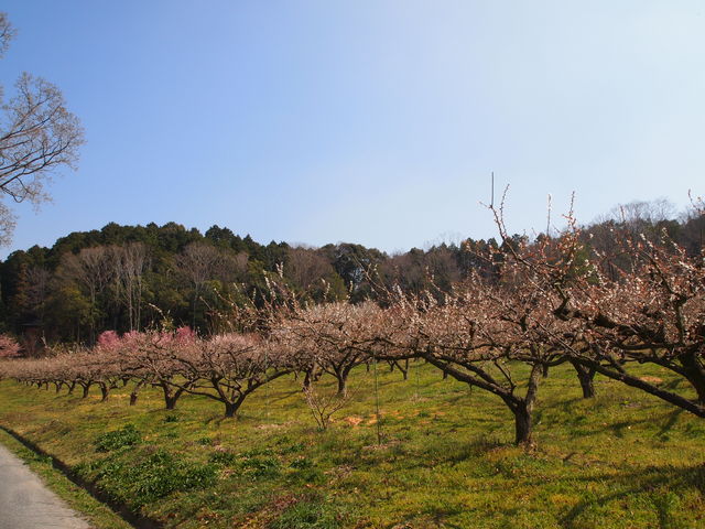 ˂񂳂̎̋ Bakery&Cafe 썿̓eʐ^6