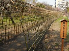 向島百花園の萩のトンネルの写真一覧 じゃらんnet