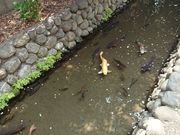 ܂[܂񂳂̘Zp̓eʐ^1