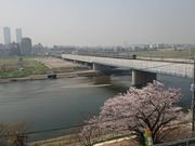 ܂[܂񂳂̑Ԑ_Ђ̓eʐ^1