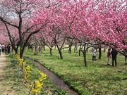 イ̌É͌iÉ͑j̓eʐ^6