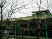 Happy̕ۓcc@΂̓̓eʐ^1