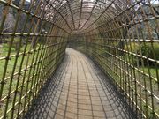 ziňSԉ̔̃gl̓eʐ^2