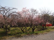 ˂񂳂̎̋ Bakery&Cafe 썿̓eʐ^1